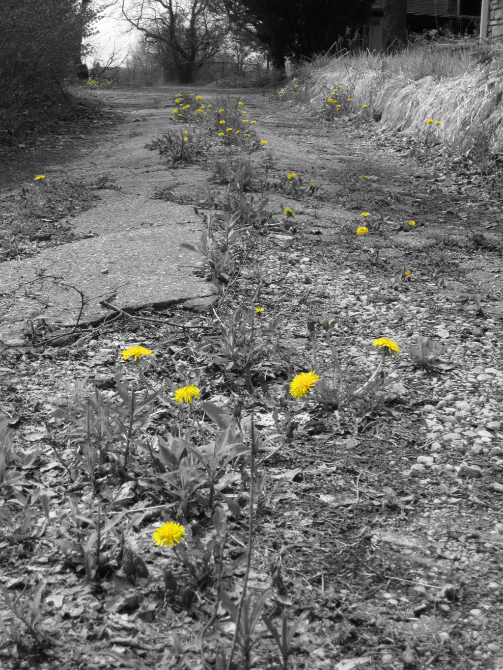 Abandoned but with new life