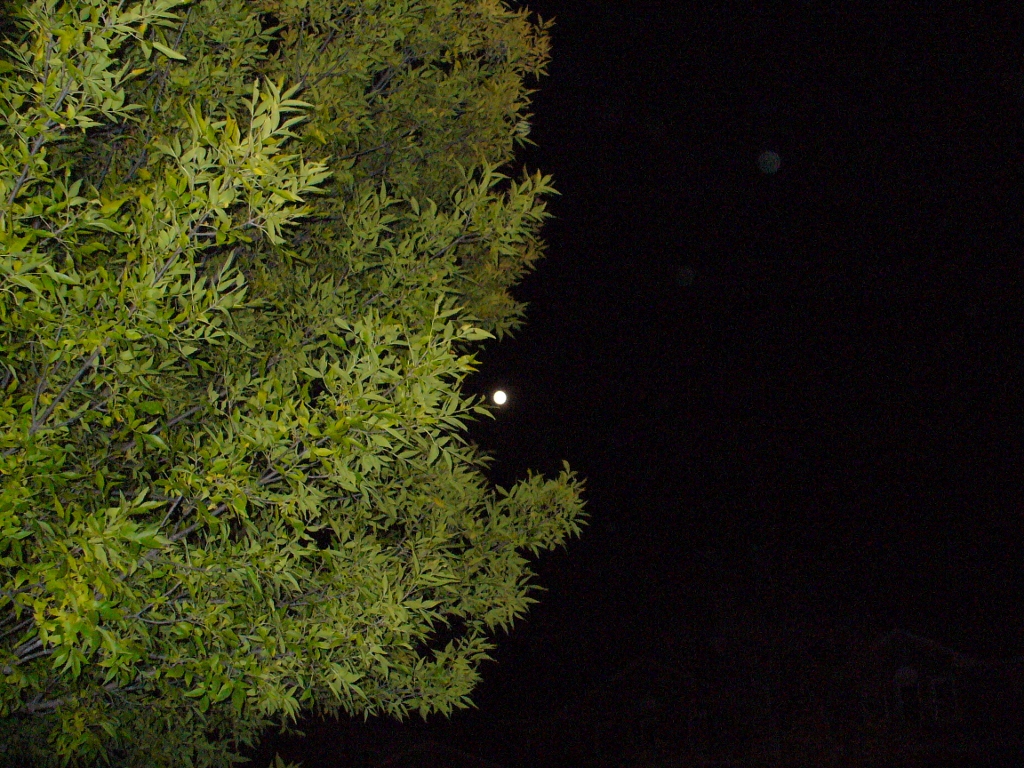 Who see this Moon tonight?