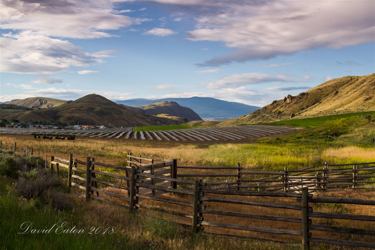 Farm Land