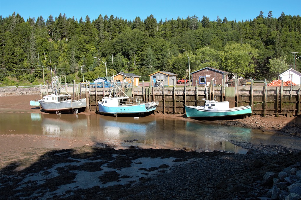 St. Martins Cove