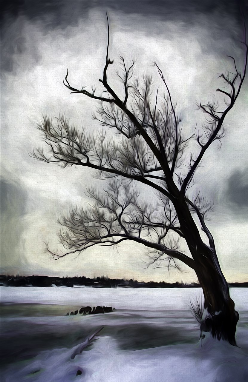 Lonely Painterly