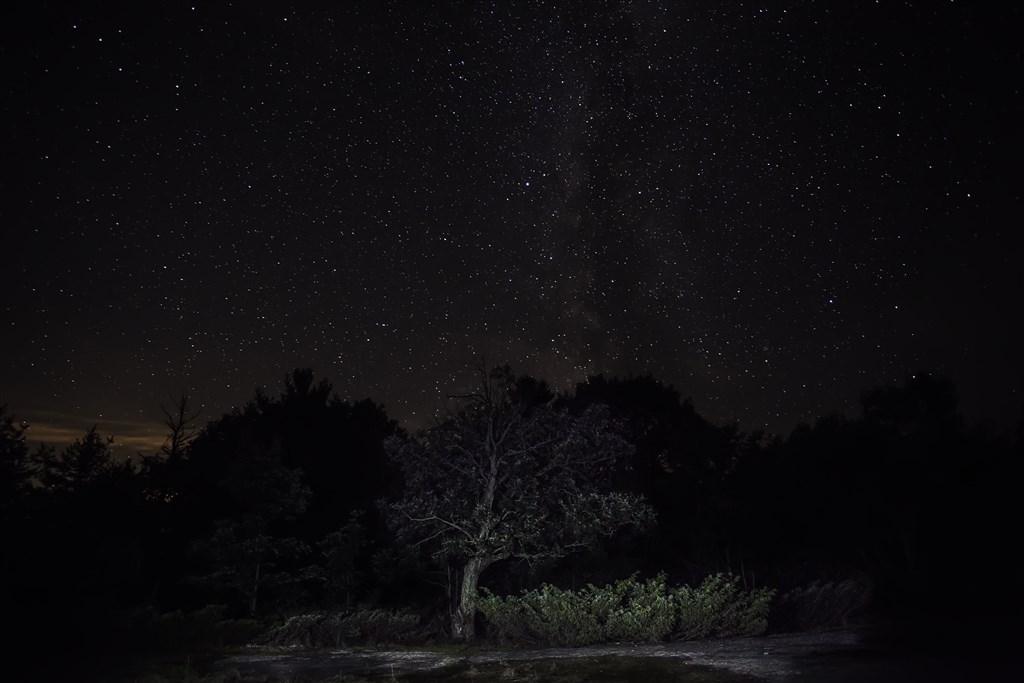 Milky Way