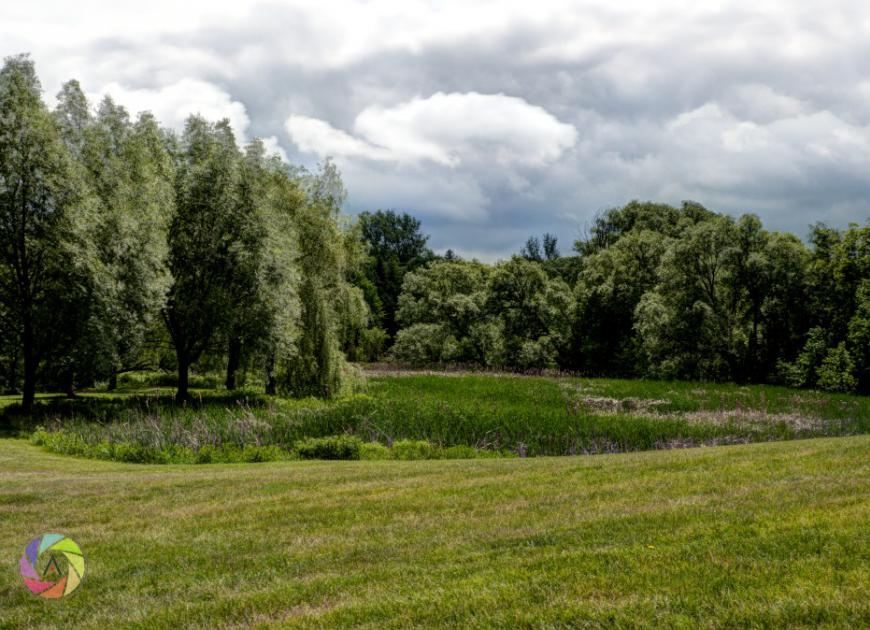 Green Landscape
