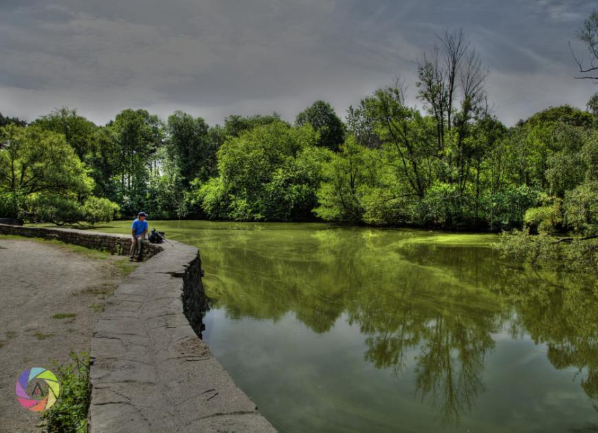 High_Park_Pond1
