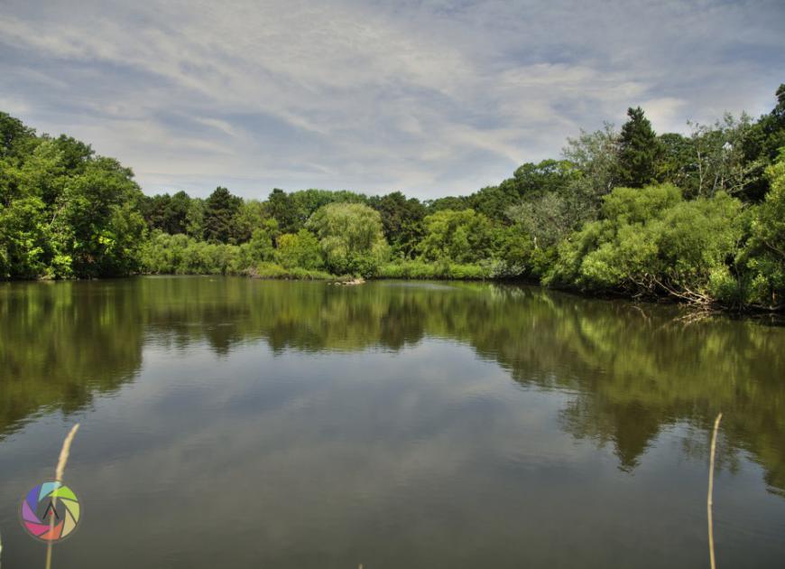 High_Park_Pond2