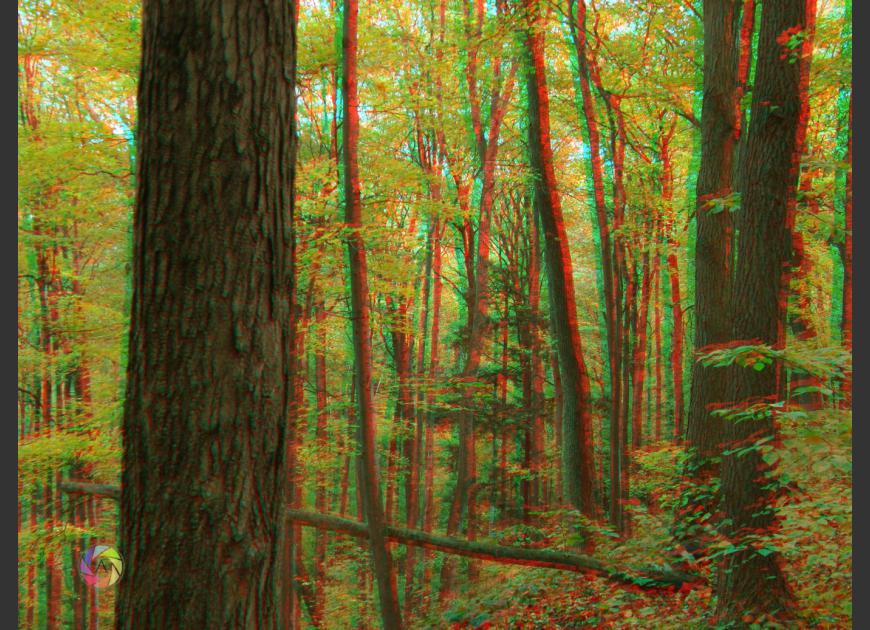 3D red/blue glasses 2