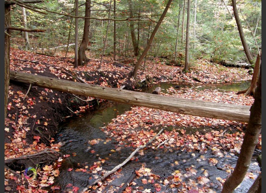 natural bridge