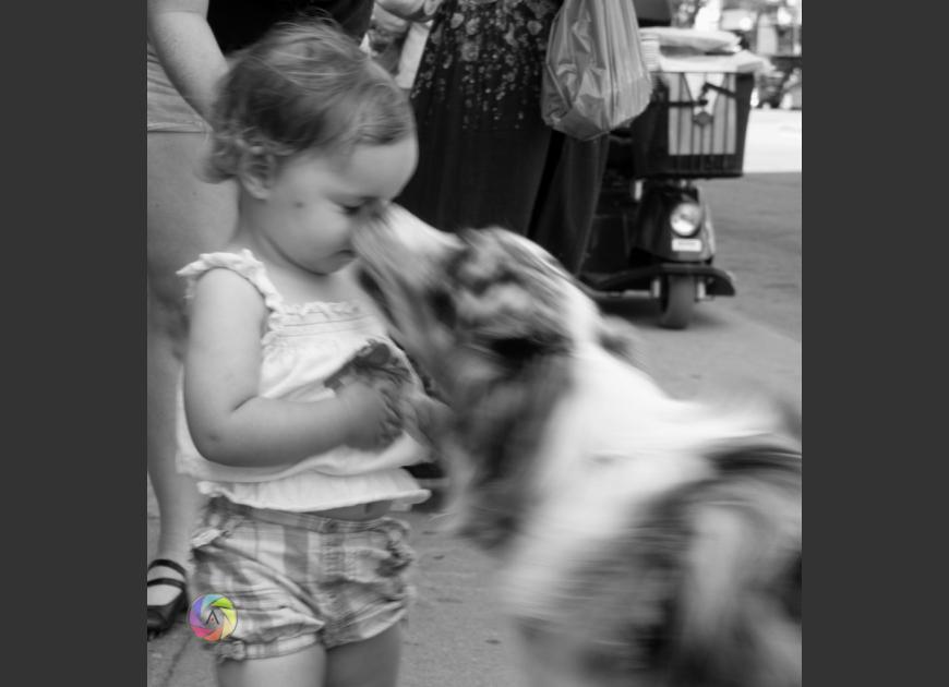 Unwanted Dog Kiss