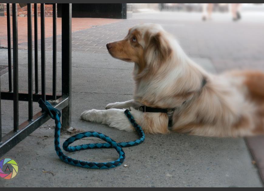 Waiting for Attention