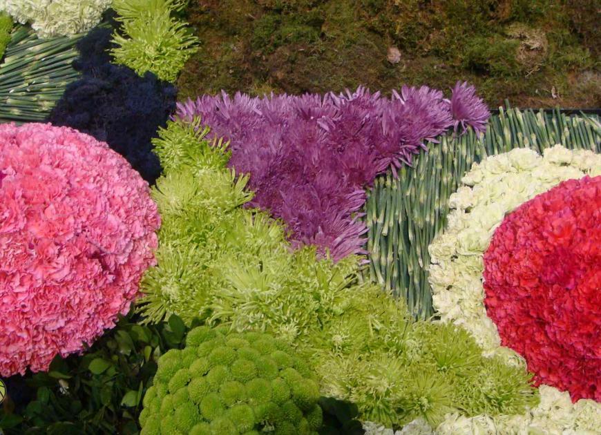 flower carpet