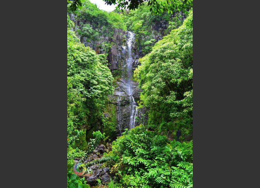 Waterfall on the way to Hana