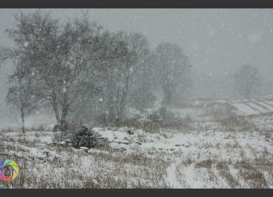 Snowy Three