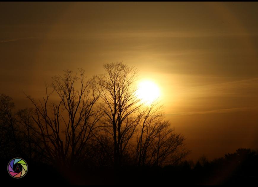 Spring is on the way
