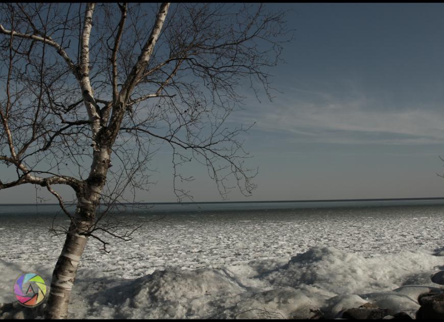 Winters Waning days
