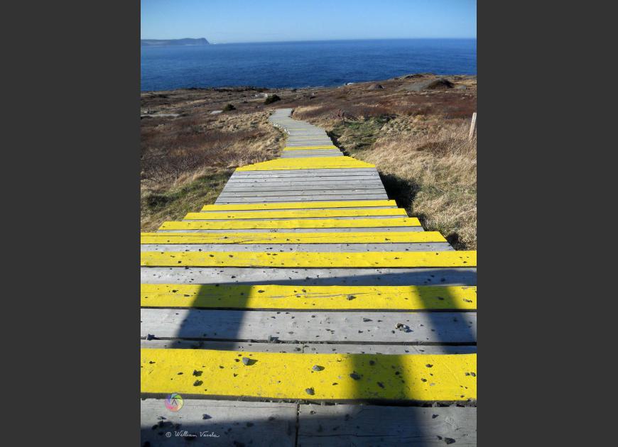 Watch your Step