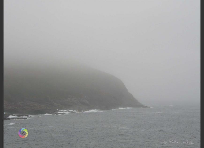 Fog