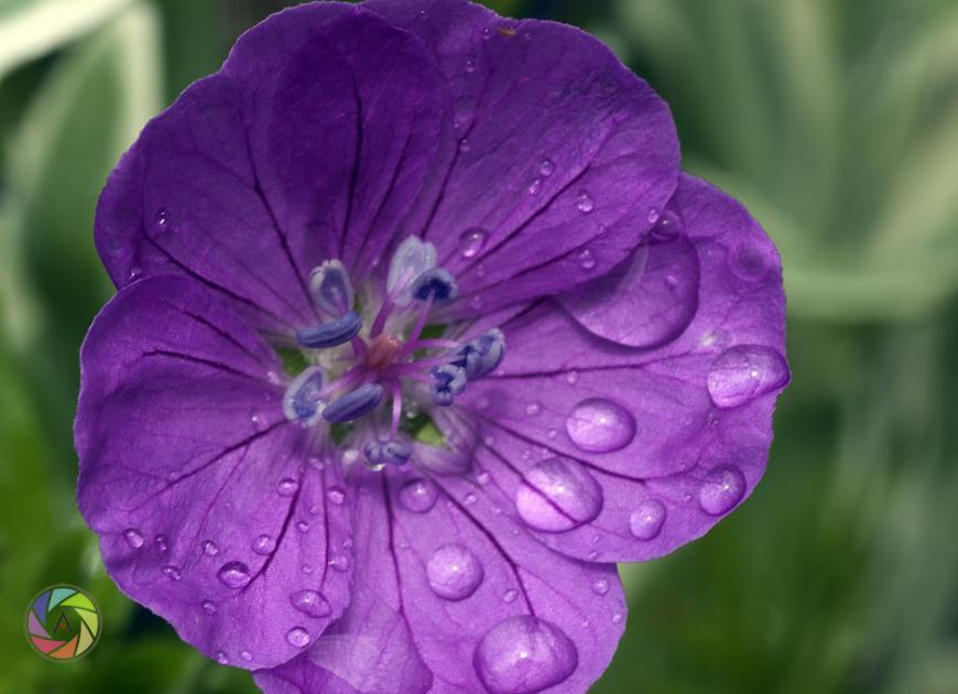 After the Rain