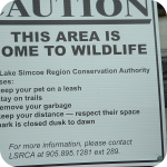 wildlife!