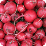 Radis rouges