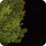 Who see this Moon tonight?