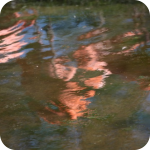 abstract reflexion