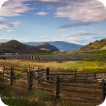 Farm Land