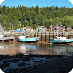 St. Martins Cove