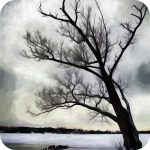 Lonely Painterly