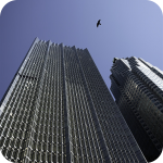 Skyscraper Bird