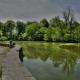 High_Park_Pond1
