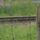 track