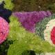 flower carpet