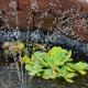 waterdrops
