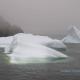 Icebergs