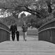 Over the bridge