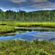 Algonquin Park Pond