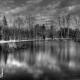 Marsh Reflections