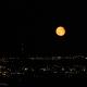 Yellow Blue Moon
