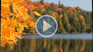 Autumn colours in Ontario is mesmerizing