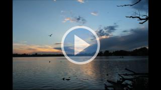 A group of sunset time lapse