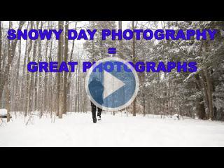Snowy Day Photography @ Sheppard's Bush