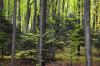 Linda Allen's picture
